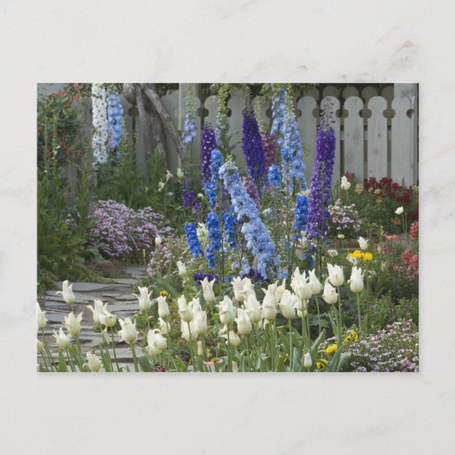 Spring flowers along a garden path, Georgia Postcard (Front)
