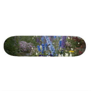 Spring flowers along a garden path, Georgia Skateboard