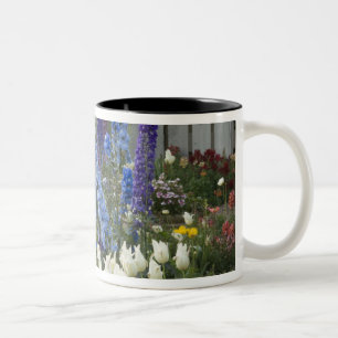Spring flowers along a garden path, Georgia Two-Tone Coffee Mug