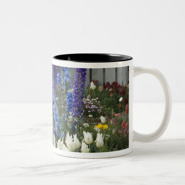 Spring flowers along a garden path, Georgia Two-Tone Coffee Mug (Right)