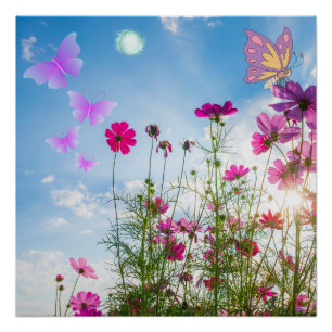 spring flowers and butterfly poster