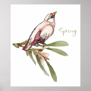 Spring flowers birds. Snowdrops. Poster