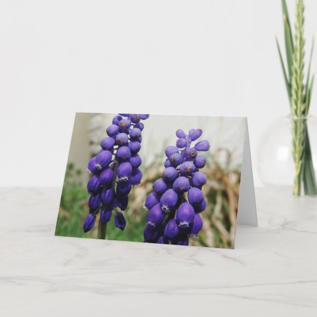 Spring Flowers Card (Front)