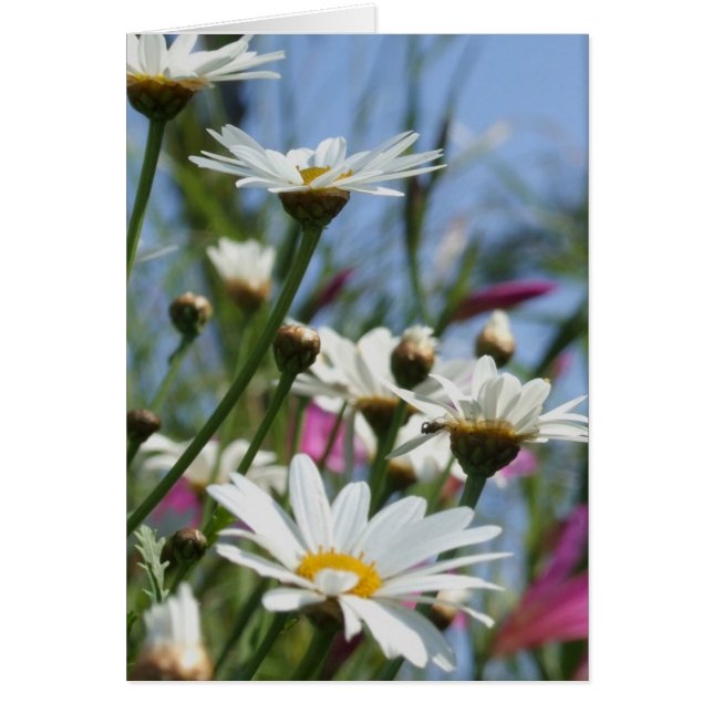 Spring Flowers Card (Front)