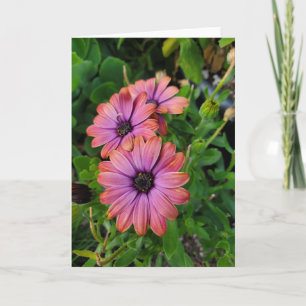 Spring flowers card