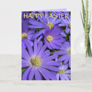 Spring Flowers Card Flowers Easter Card Blank