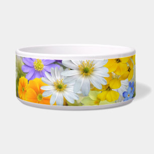 spring flowers cat food bowl