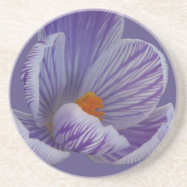 Spring Flowers Coaster Crocus Flowers Coaster (Front)