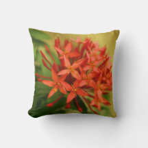 spring flowers, easter, spring, nature, orange