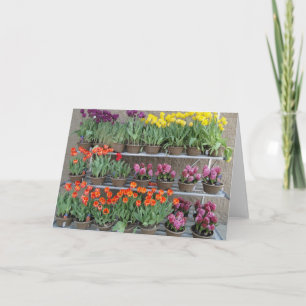 Spring Flowers For Sale Card