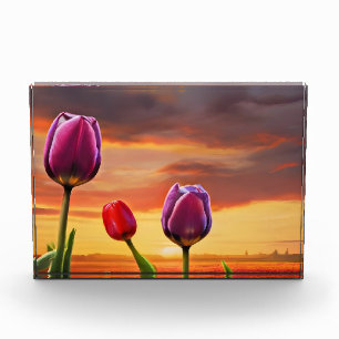 Spring flowers for Valentines day Photo Block