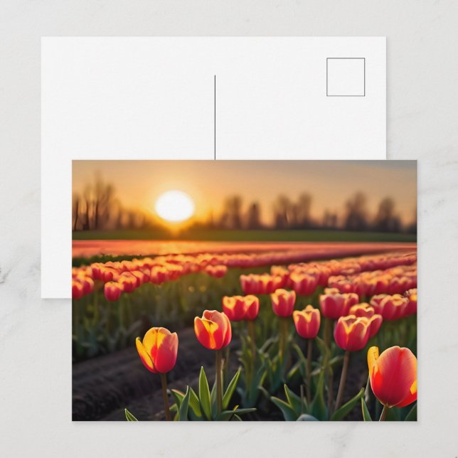 Spring flowers for Valentines day Postcard (Front/Back)