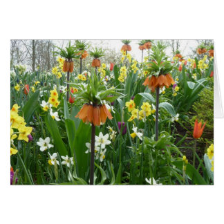 Spring flowers fun - yellow and orange