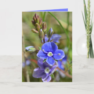Spring Flowers Greeting Card