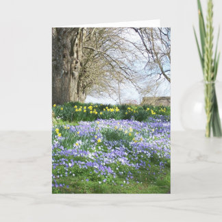 Spring Flowers Greetings Card
