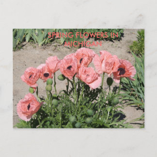 SPRING FLOWERS IN MICHIGAN POST CARD