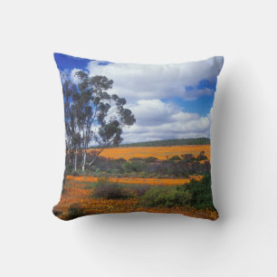 Spring flowers in Namaqualand, South Africa Cushion