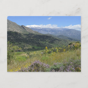 Spring Flowers in the Cretan Landscape Postcard