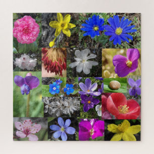 spring flowers jigsaw puzzle