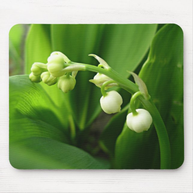 spring flowers - lily of the valley mouse pad (Front)