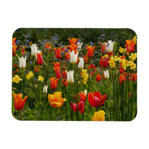 Spring Flowers Magnet