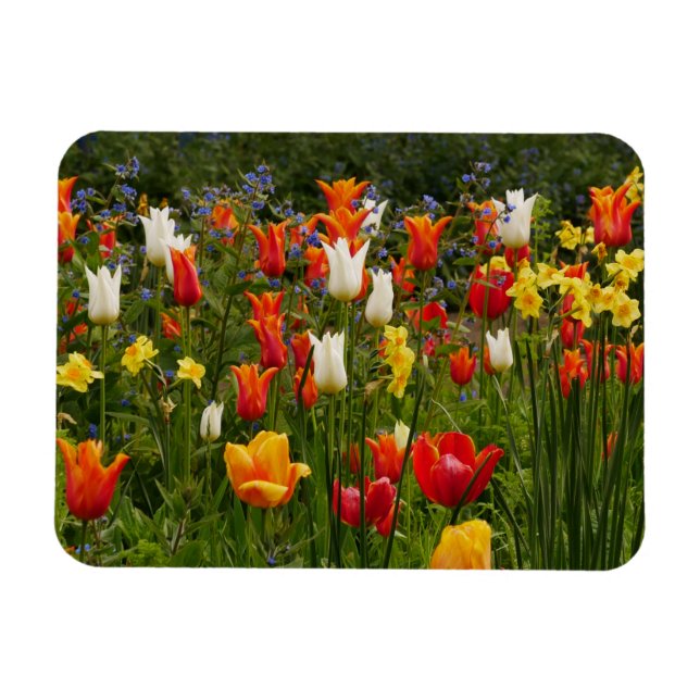 Spring Flowers Magnet (Horizontal)