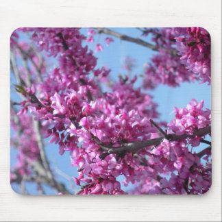 spring flowers mouse pad