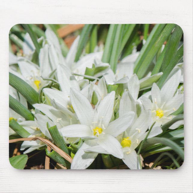 Spring flowers mouse pad (Front)