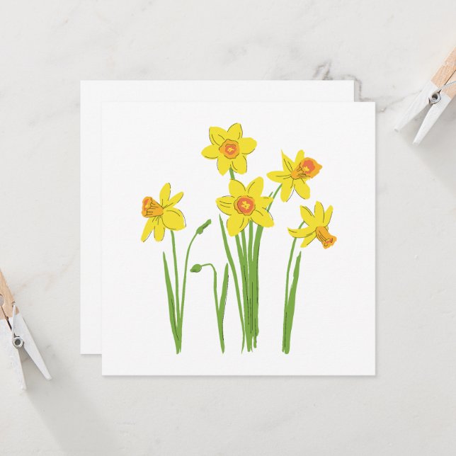 spring flowers, narcissa. (Front/Back In Situ)