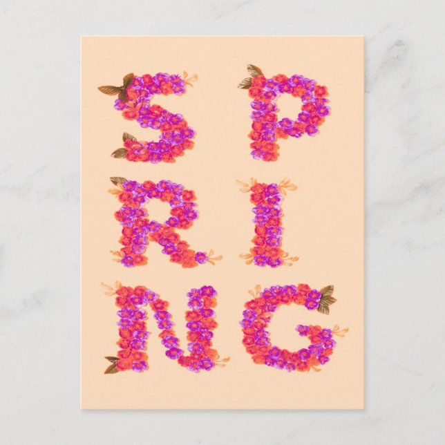 Spring Flowers Pink Postcard (Front)
