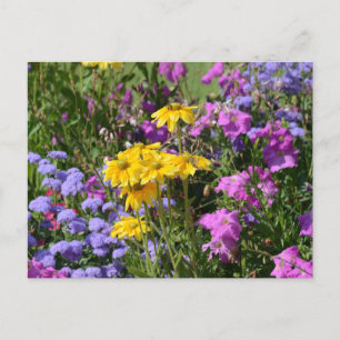 Spring flowers postcard