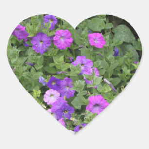 Spring Flowers Purple Garden Petunia Floral Photo Heart Sticker