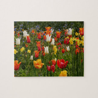 Spring Flowers Puzzle 