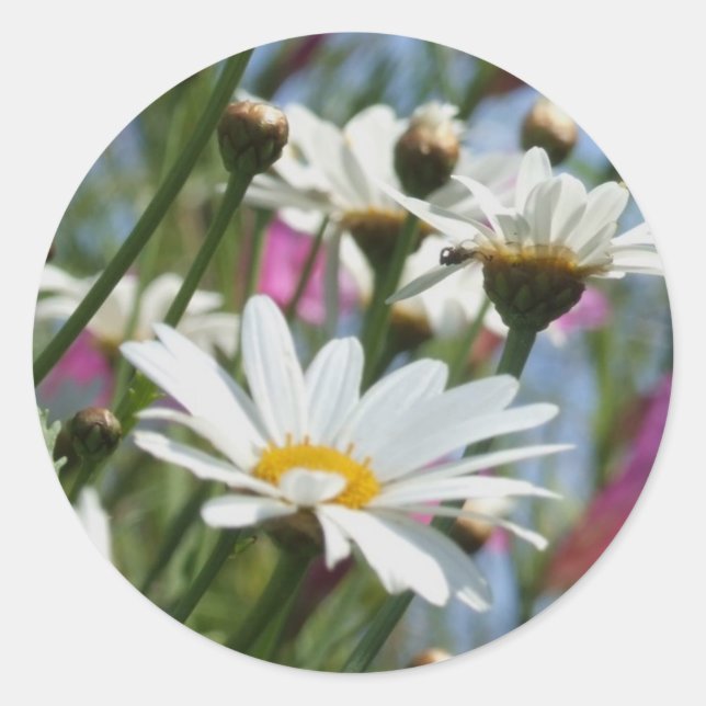 Spring Flowers Stickers (Front)