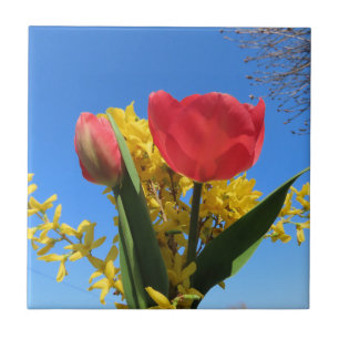 spring flowers, tulips, colourful + flowers, blue ceramic tile