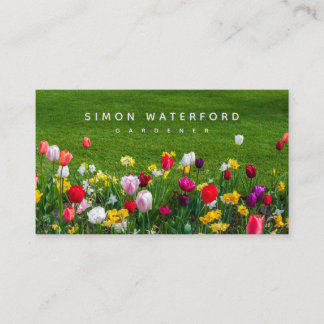 Spring Flowers US Business Card