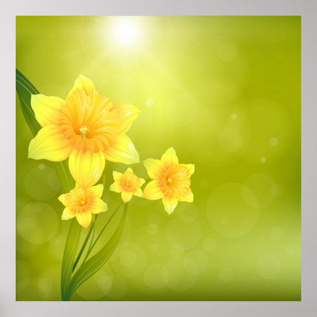 Spring Flowers Yellow Daffodils Poster (Front)