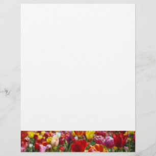 Spring Flyer Paper Tulip Flowers Create Your Own