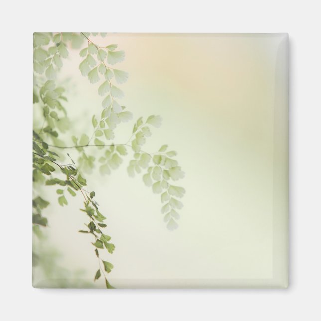 Spring Foliage Magnet (Front)