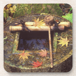 Spring for Tea Ceremony, Ryanji Temple, Kyoto, Coaster