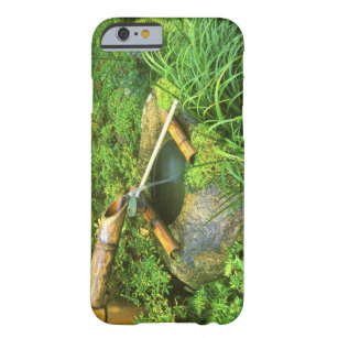 Spring for Tea Ceremony, Sanzen-in Temple, Barely There iPhone 6 Case