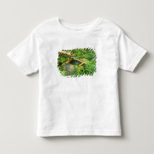 Spring for Tea Ceremony, Sanzen-in Temple, Toddler T-Shirt