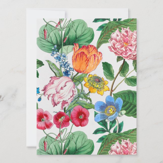 Spring garden (Front)