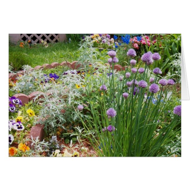 Spring Garden (Front Horizontal)