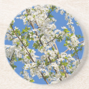 spring garden coaster