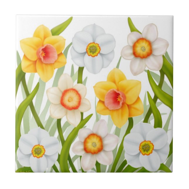 Spring Garden Daffodil Flowers Tile (Front)