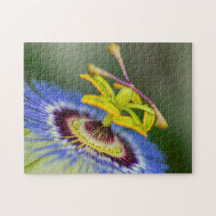 Spring Garden - Passion Flower Jigsaw Puzzle