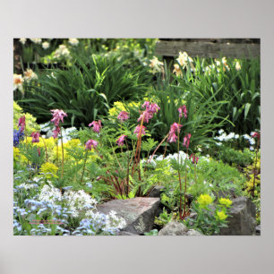 Spring Garden Perennials Poster