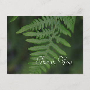 Spring green fern leaves thank you postcard