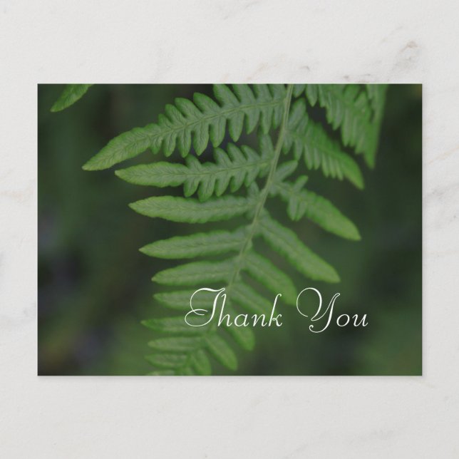 Spring green fern leaves thank you postcard (Front)